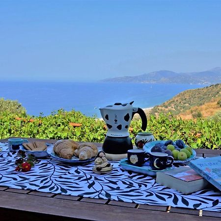 Terrazza Degli Angeli Villa Ascea Buitenkant foto