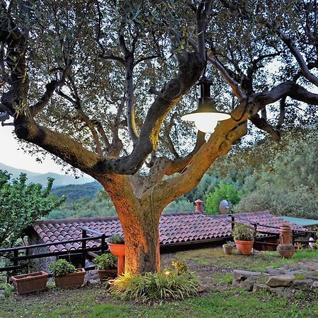 Terrazza Degli Angeli Villa Ascea Buitenkant foto