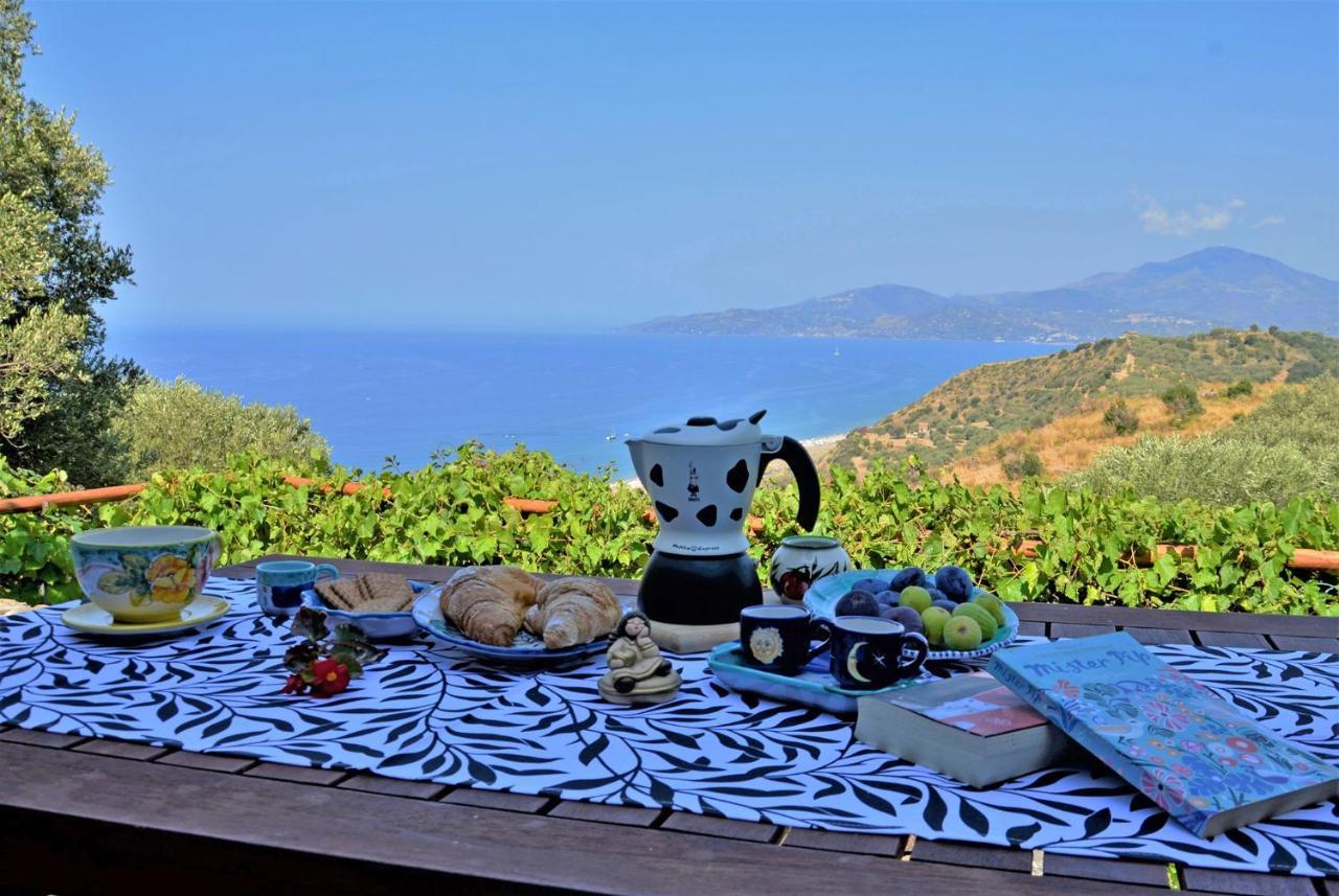 Terrazza Degli Angeli Villa Ascea Buitenkant foto