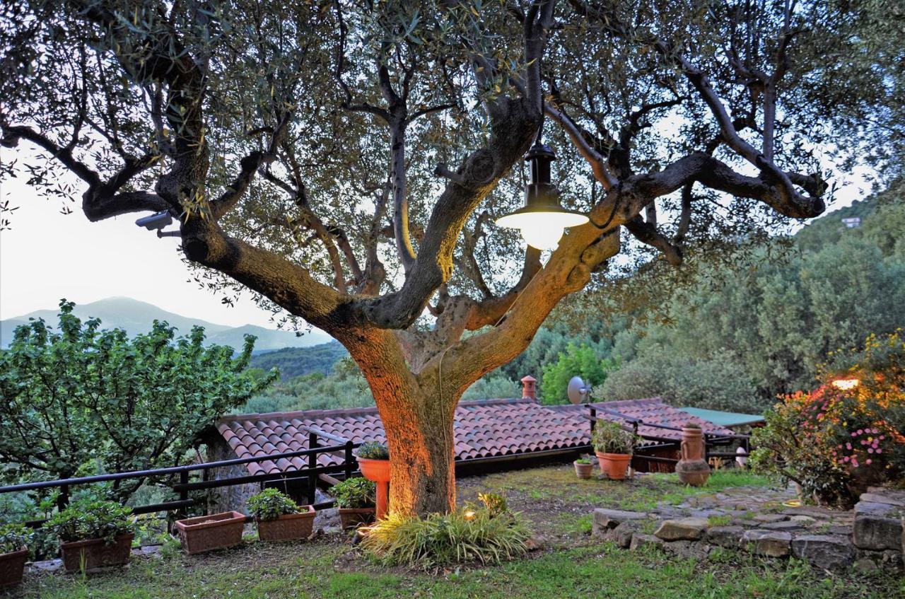 Terrazza Degli Angeli Villa Ascea Buitenkant foto